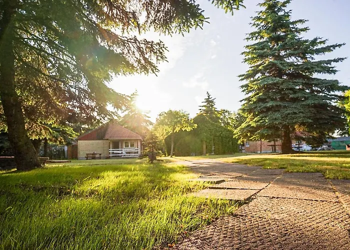 Hostel Surf Camp Κλαϊπέντα